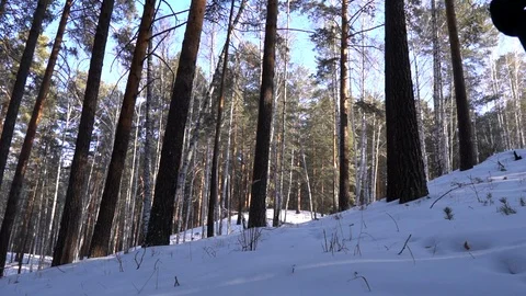 Winter trekking in the forest; man walking on snowdrifts Stock Footage 124213629