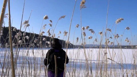 Winter trekking in the forest; man walking on snowdrifts Stock Footage 124214323