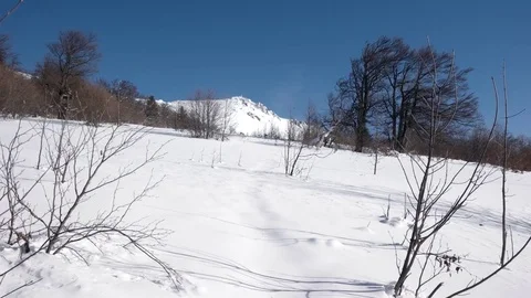 Winter Trip Through the Woods. Walking on a Path Inside a Forest Covered in Video stock 71198958