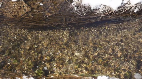 Winter Trout Stream 4 Stock Footage 48033476