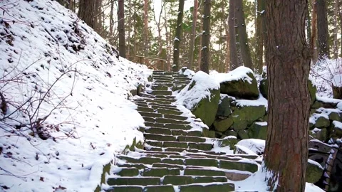 Winter upsteirs in the park 스톡 동영상 147507439