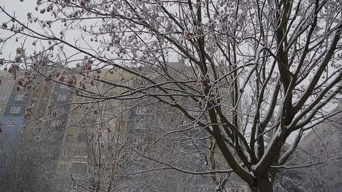 Winter urban landscape Stock Footage 103108032