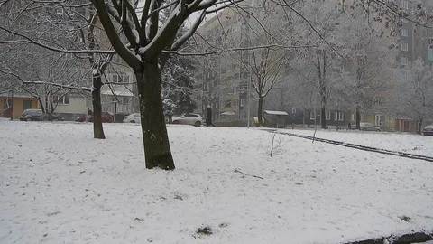 Winter urban landscape Stock Footage 103108039