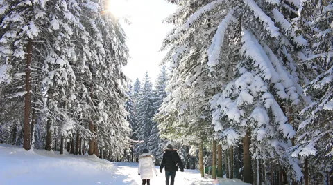 Winter vacation on the mountain Video stock 45639408