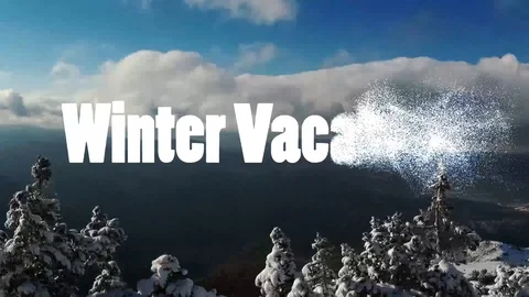 Winter vacations letters on winter background Stock Footage 120408847