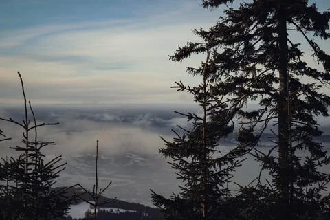 Winter Valley View with Pine Tree Stock Photos