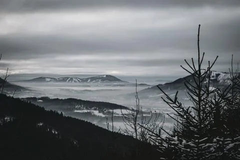 Winter valley view with pine tree and mountain and clouds Stock Photos