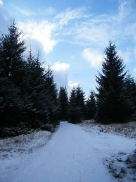 Winter in Vatra Dornei Stock Photos