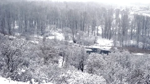 Winter Vegetation On A Hill   Stock-Footage 47621168