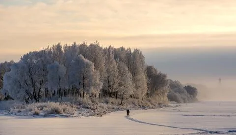 Winter is very cold, the trees are covered with frost, the river is foggy, .. Fotos de archivo