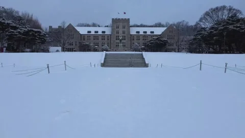 Winter videos Stock Footage 287406482