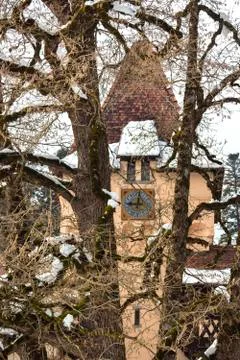 A  winter view of a clock tower through a century-old tree. Stock Photos