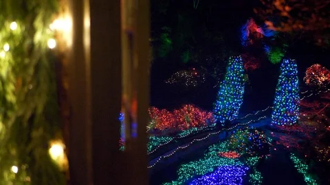 Winter View from Cottage of Butchart Gardens Sunken Gardens Christmas Lights Stock Footage 120655804