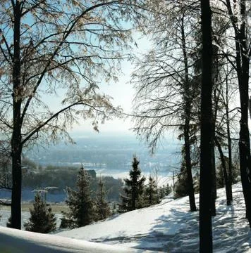 Winter view to the expanse through the trees Stock Photos