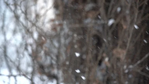 Winter view with great snowfall Stock Footage 101829292