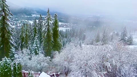Winter view from the hotel. Forest in the snow. Fog over the Tatra Mountains. Video stock 259064850