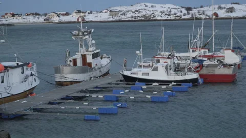 Winter view of a marina in Tromso Stock Footage 86637838