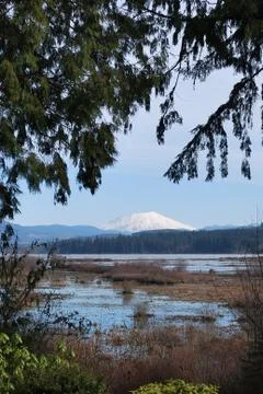 Winter View of Mount Rainier Stock Photos