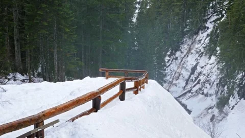 Winter View of Narada Falls Overlook in Mount Rainier National Park, Washington Stock Footage 332143871