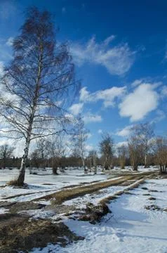 Winter view Stock Photos