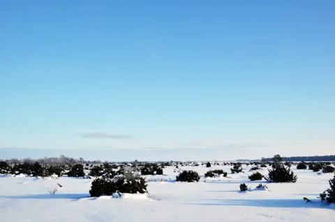 Winter view Stock Photos