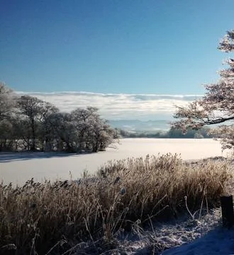 Winter View Stockfoto's
