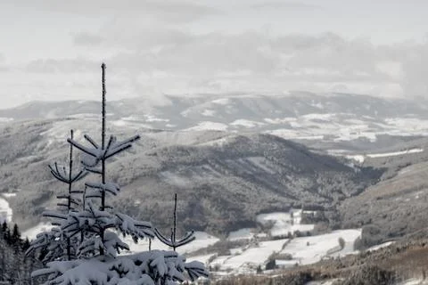 Winter View Stock Photos