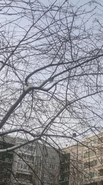 Winter view of the sky in one of russian cities Stock Photos