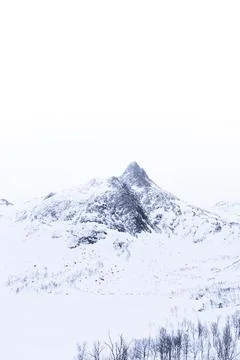 Winter view through bare birch trees to a sharp snowy mountain on Senja Isl.. Stock Photos