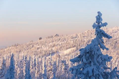 Winter view from the top of the mountain at sunset background Stock Photos