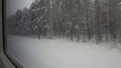 Winter view from train window. Belarus Stock Footage 100868672