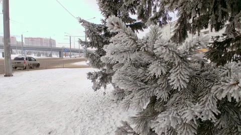 Winter view of the trees in the ice by the road Stock Footage 225862207