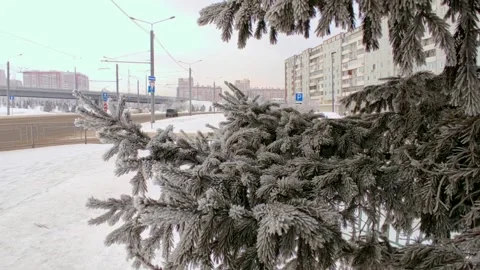 Winter view of the trees in the ice by the road Stock Footage 225862274