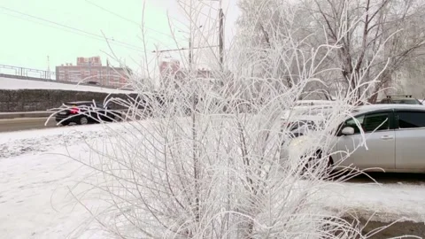 Winter view of the trees in the ice by the road Stock Footage 225862307