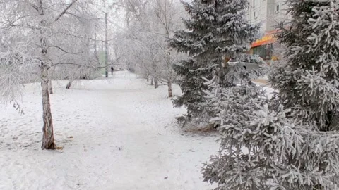 Winter view of the trees in the ice by the road Stock Footage 225862349