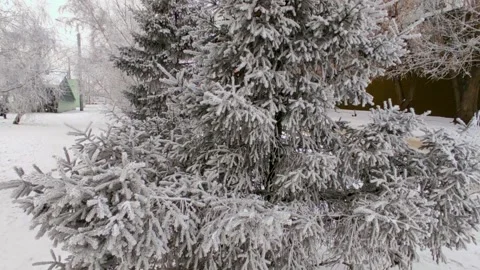 Winter view of the trees in the ice by the road Stock Footage 225862390