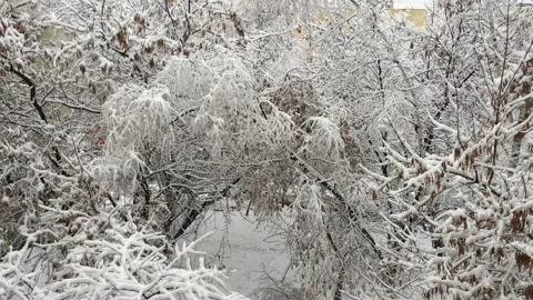 Winter view from the window 库存影片 157322098