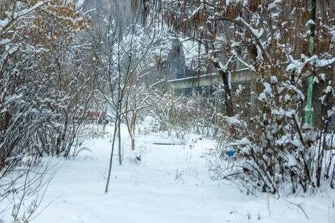 Winter view in winter Stock Photos