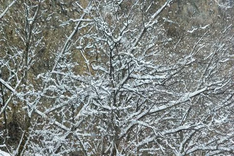Winter view in winter Stock Photos