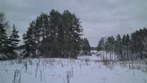 Winter views in the suburbs of Vilnius, Lithuania Stock Footage 169533076