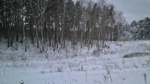 Winter views in the suburbs of Vilnius, Lithuania Stock Footage 169533138