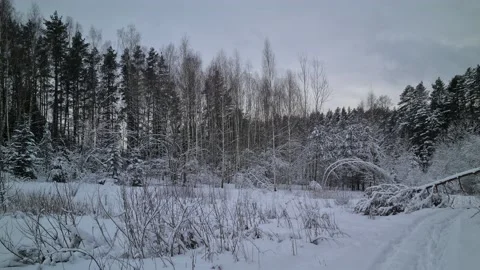 Winter views in the suburbs of Vilnius, Lithuania Stock Footage 169533278
