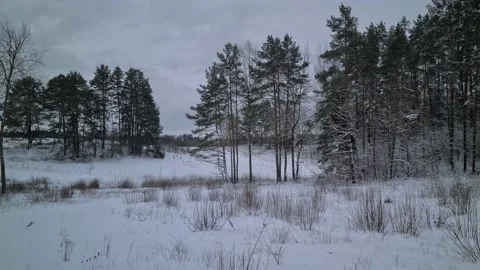 Winter views in the suburbs of Vilnius, Lithuania Stock Footage 169533515