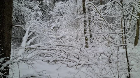 Winter views in the suburbs of Vilnius, Lithuania Stock Footage 169533560