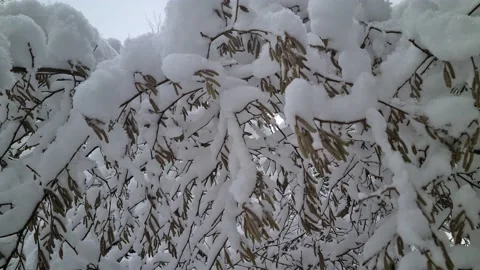 Winter views in the suburbs of Vilnius, Lithuania Stock Footage 169533600