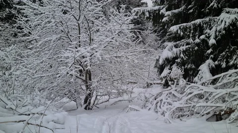 Winter views in the suburbs of Vilnius, Lithuania Stock Footage 169533637