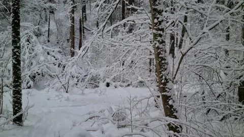 Winter views in the suburbs of Vilnius, Lithuania Stock Footage 169533725