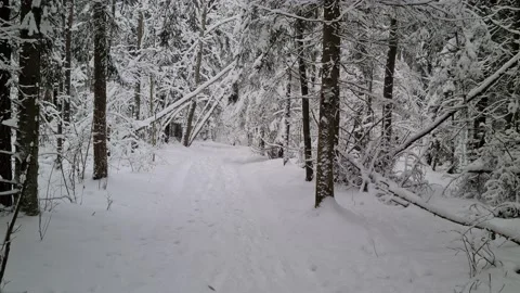 Winter views in the suburbs of Vilnius, Lithuania Stock Footage 169533763