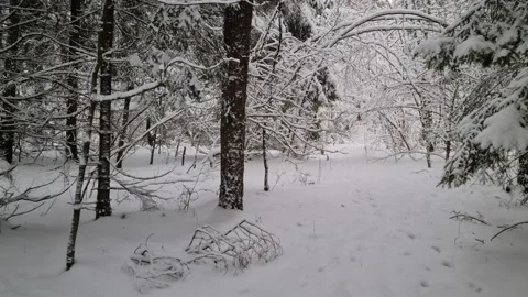 Winter views in the suburbs of Vilnius, Lithuania Stock Footage 169533780