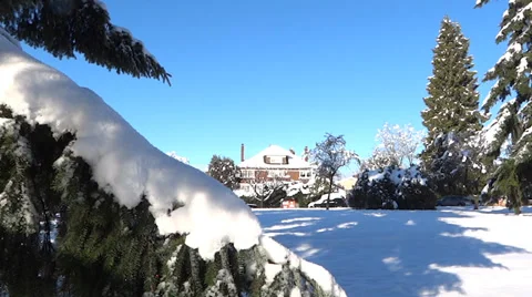 Winter Village - 42 - Snowy Trees, Road, Cars, Houses Stock Footage